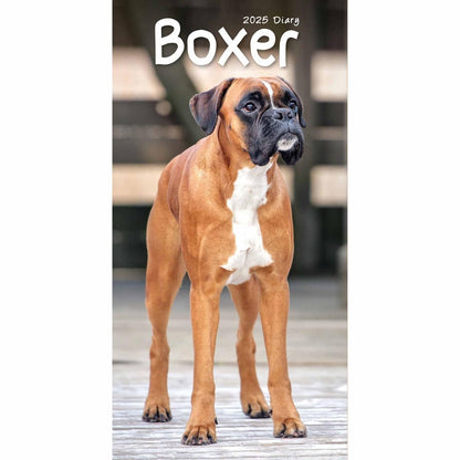 Carousel Calendars Boxers Slim Diary 2025 (PFP)