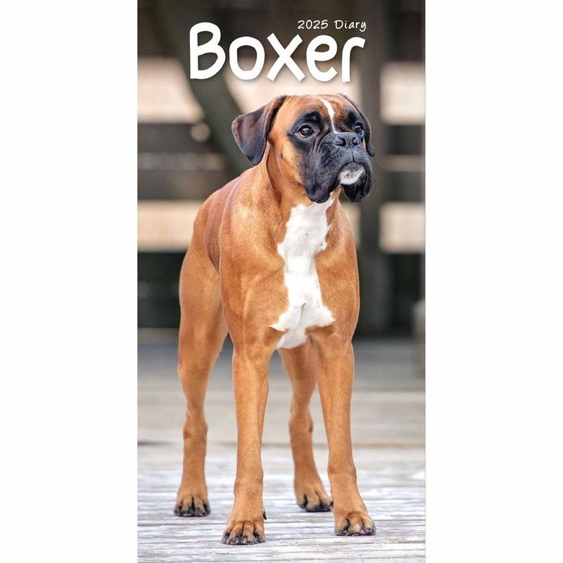 Carousel Calendars Boxers Slim Diary 2025 (PFP)