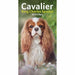 Carousel Calendars Cavalier King Charles Spaniels Slim Diary 2025 (PFP)
