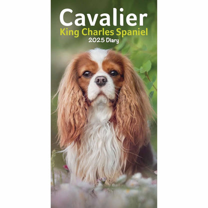 Carousel Calendars Cavalier King Charles Spaniels Slim Diary 2025 (PFP)