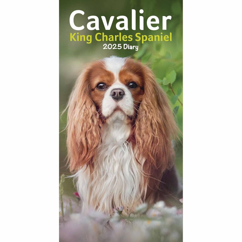 Carousel Calendars Cavalier King Charles Spaniels Slim Diary 2025 (PFP)