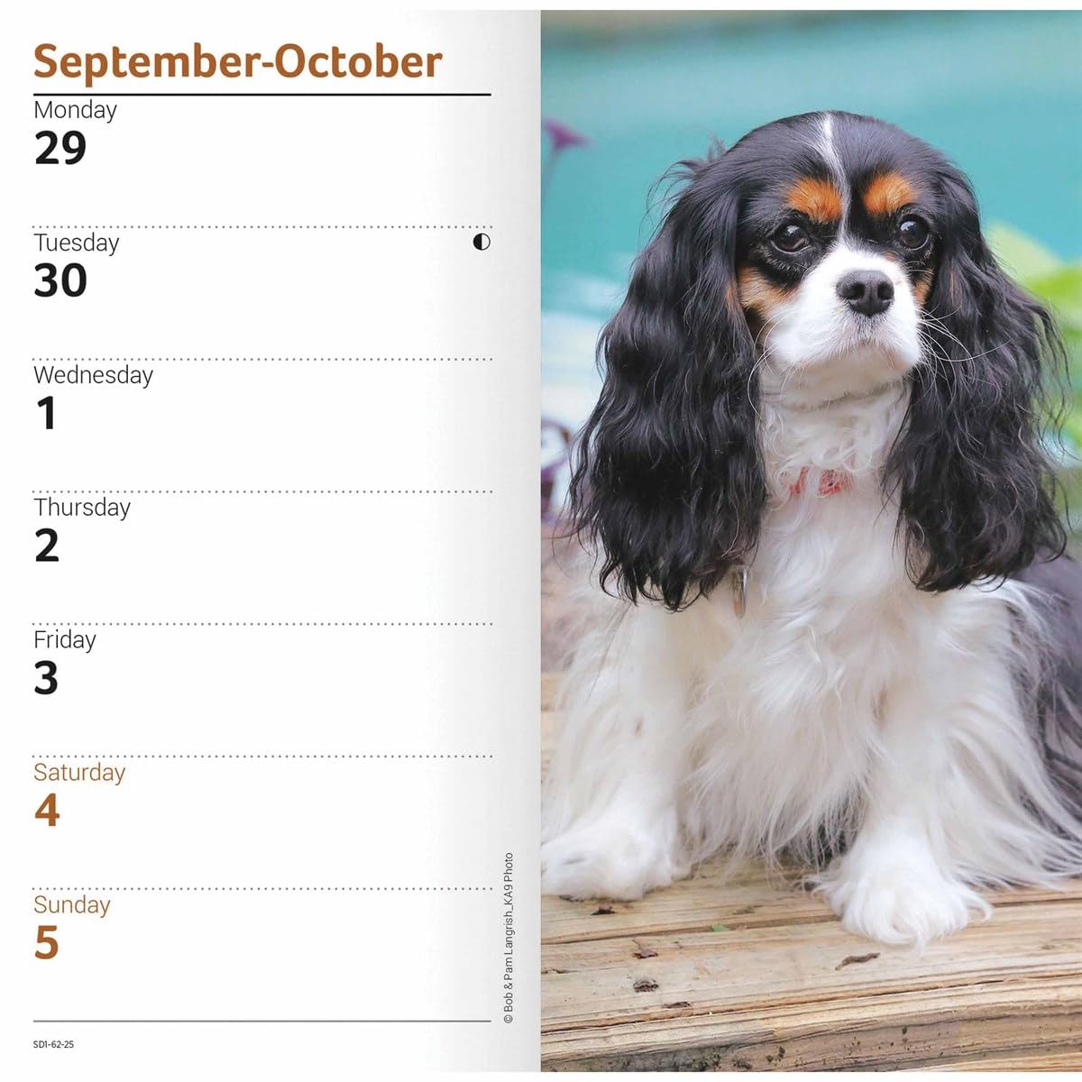 Carousel Calendars Cavalier King Charles Spaniels Slim Diary 2025 (PFP)