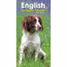 Carousel Calendars English Springer Spaniels Slim Diary 2025 (PFP)