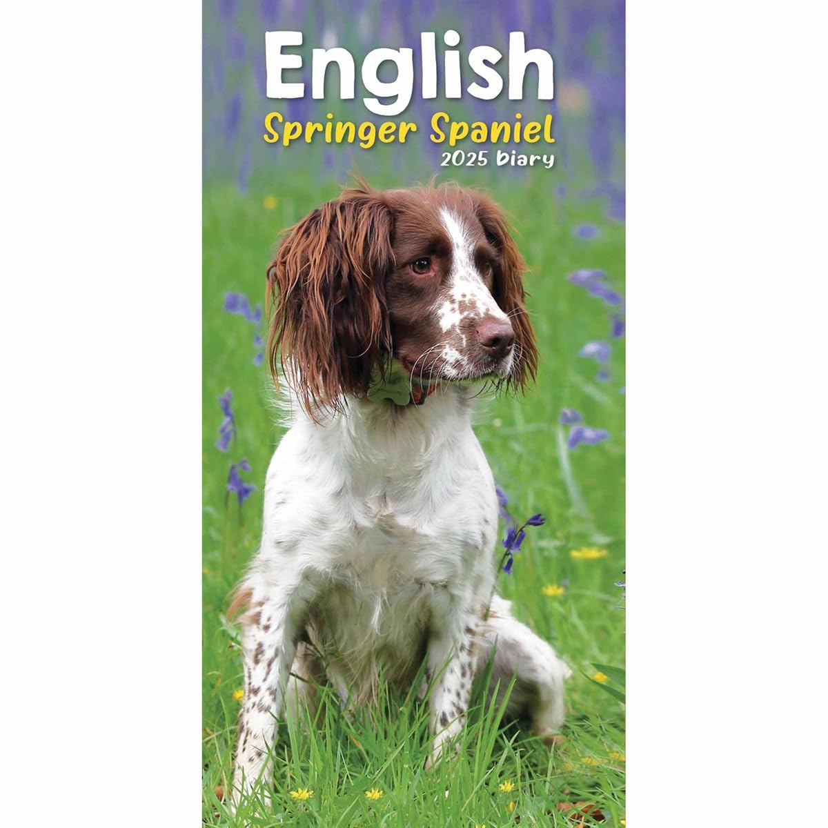 Carousel Calendars English Springer Spaniels Slim Diary 2025 (PFP)
