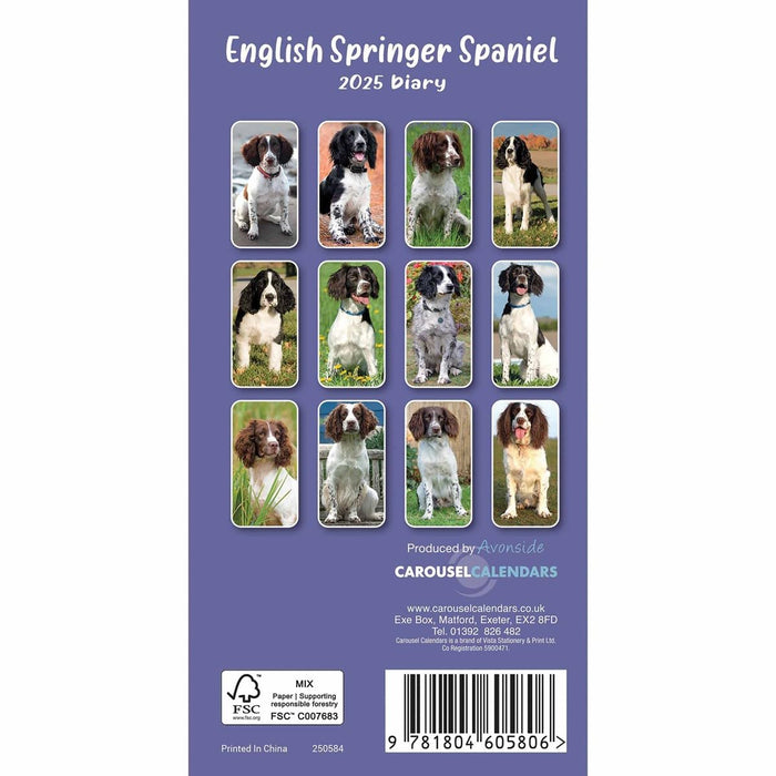 Carousel Calendars English Springer Spaniels Slim Diary 2025 (PFP)