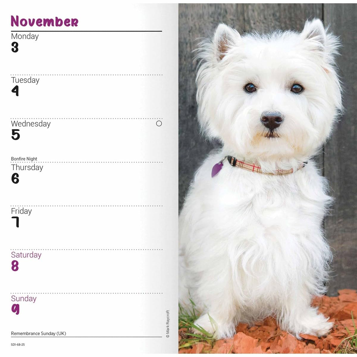 Carousel Calendars West Highland White Terriers Slim Diary 2025 (PFP)