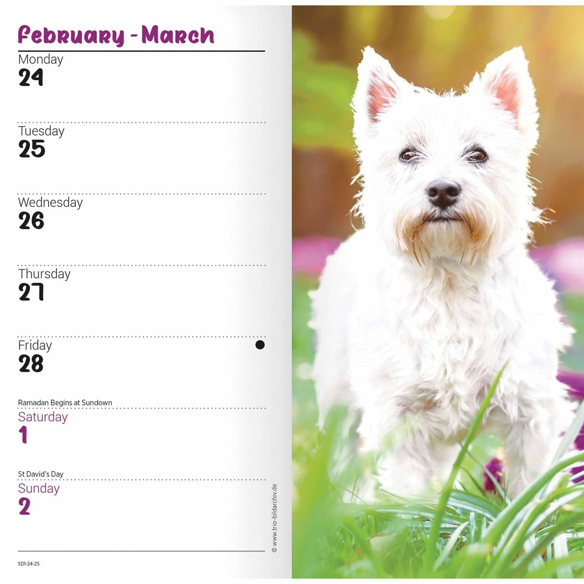 Carousel Calendars West Highland White Terriers Slim Diary 2025 (PFP)