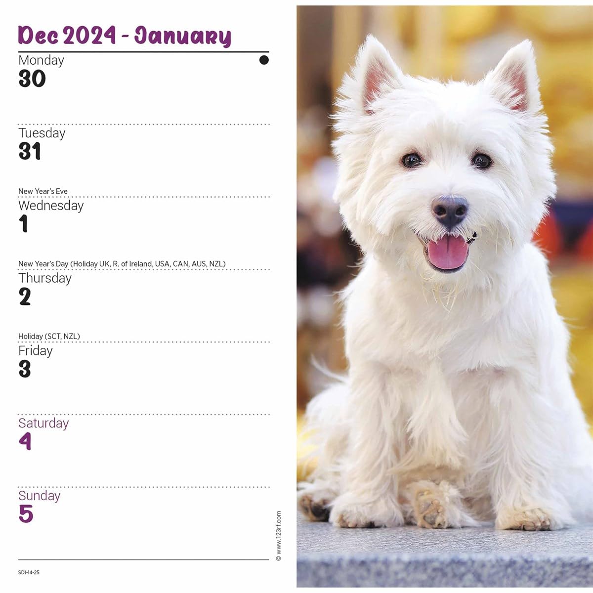 Carousel Calendars West Highland White Terriers Slim Diary 2025 (PFP)