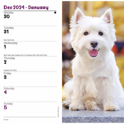 Carousel Calendars West Highland White Terriers Slim Diary 2025 (PFP)