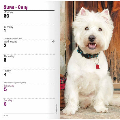 Carousel Calendars West Highland White Terriers Slim Diary 2025 (PFP)