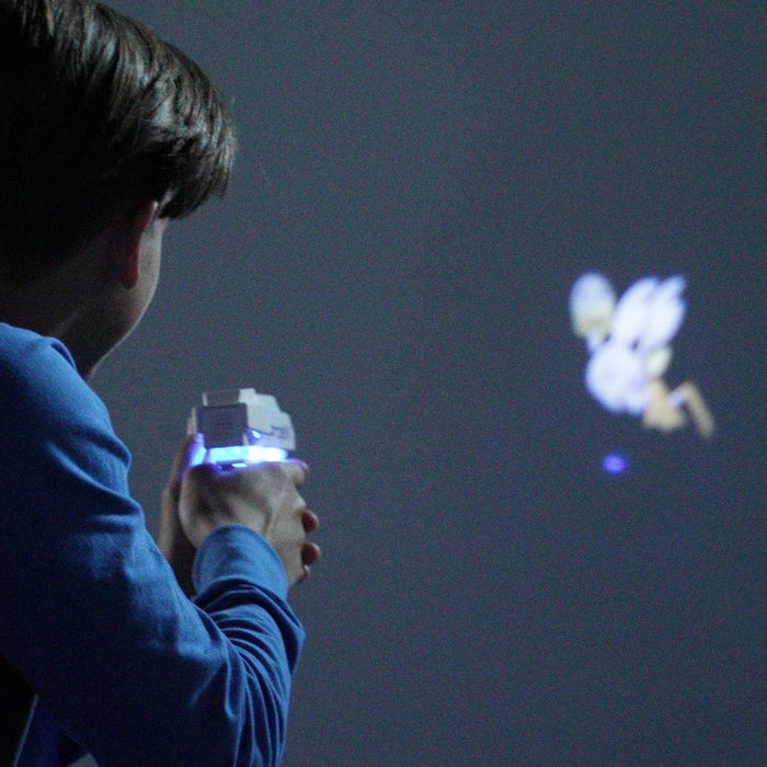 Projex Gaming Arcade Duck Shot