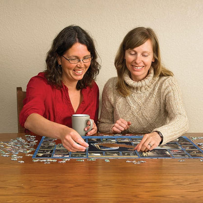 Cobble Hill 1000 Piece Puzzle Vermeer-Sample Poster Included