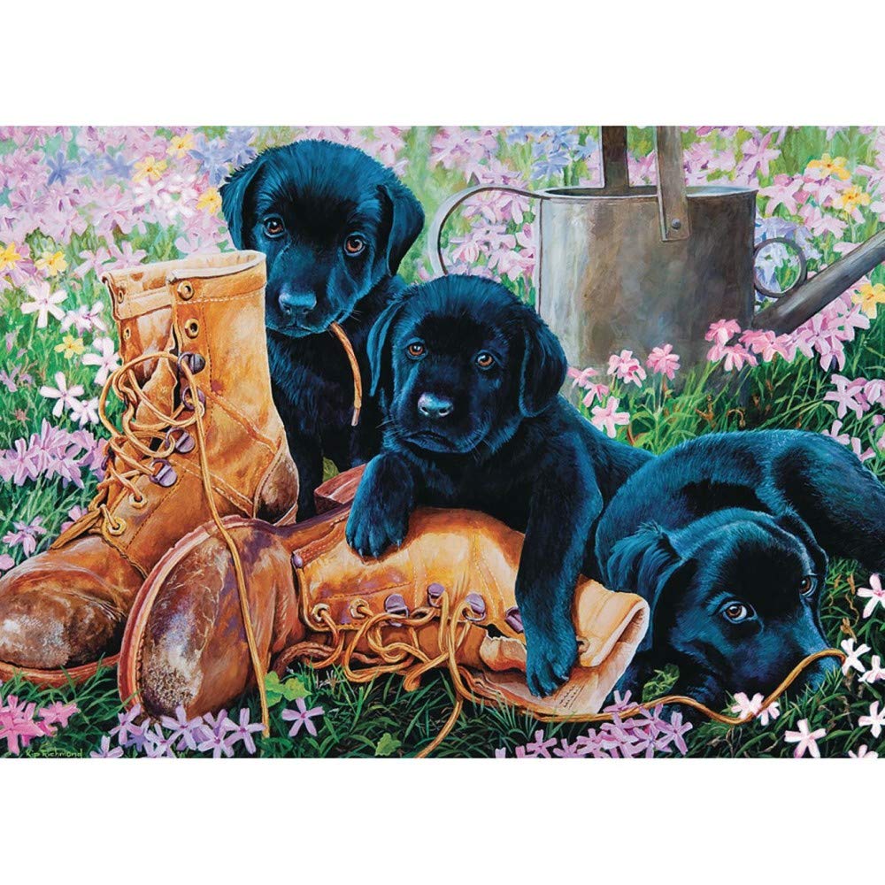 Cobblehill 58851 Tray 35 Black Lab Puppies Puzzle, Various