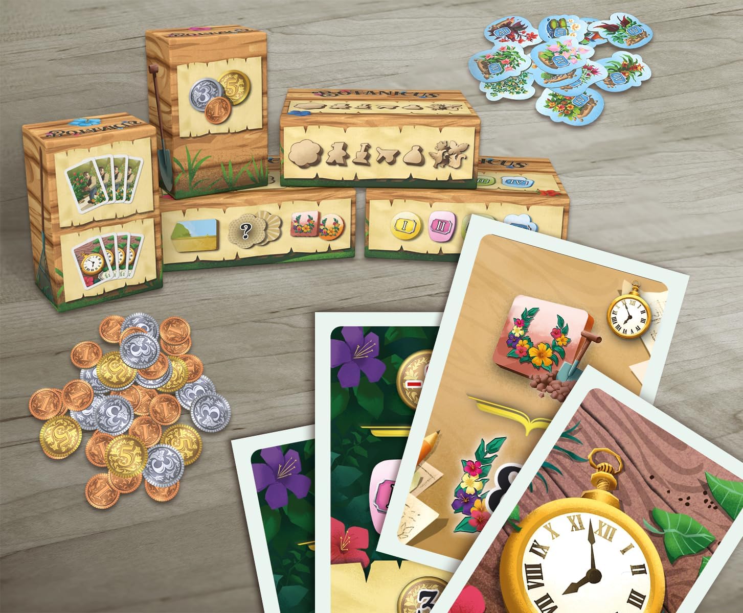 Hans im Gluck | Botanicus | Board Game | Ages 10+ | 2-4 Players | 45-60 Minutes Playing Time