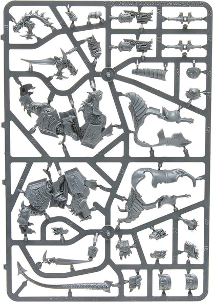 Games Workshop 99120218009 Storm cast Stormcast Eternals Dracothian Guard, Black