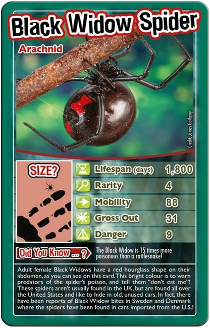 Bugs Top Trumps Card Game