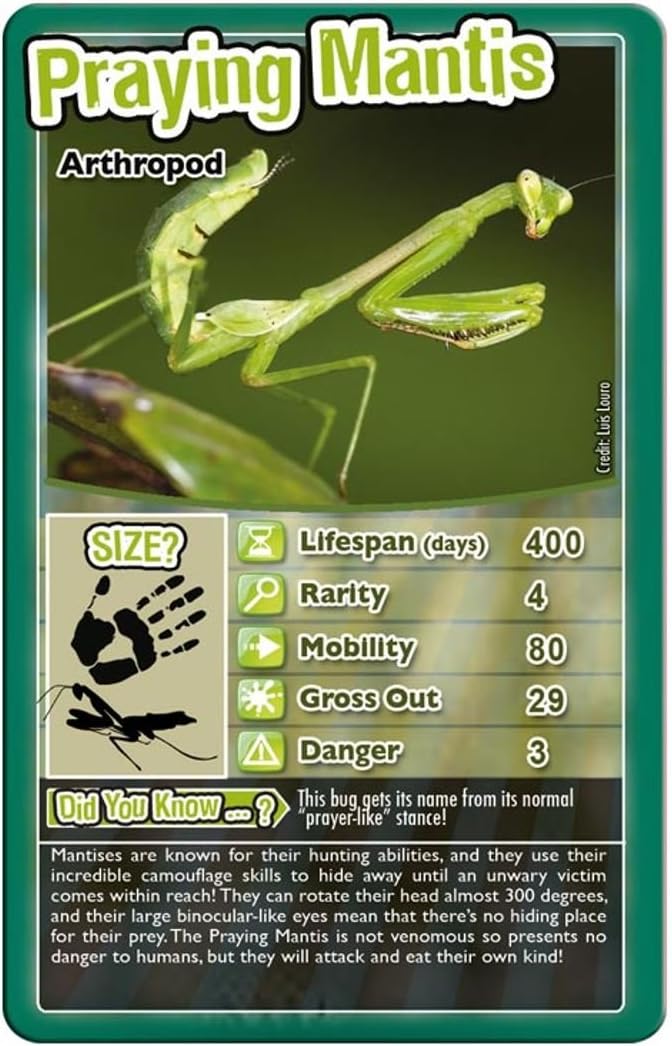 Bugs Top Trumps Card Game