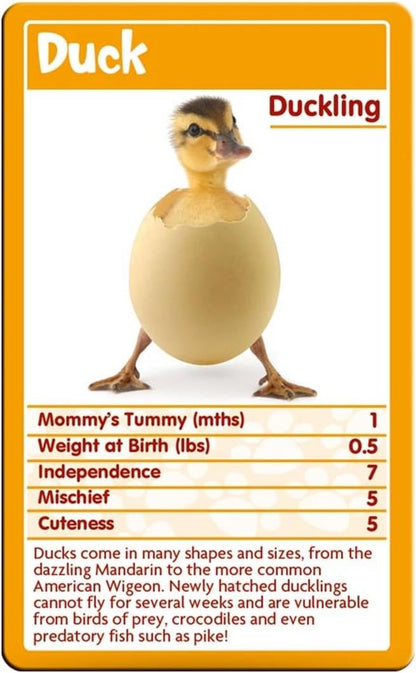 Baby Animals Top Trumps Card Game for 3 years +