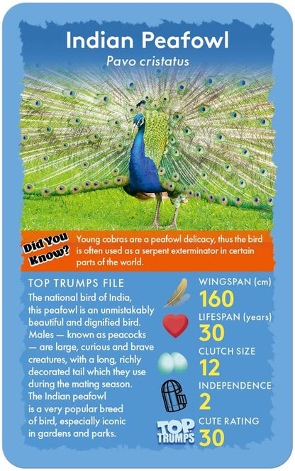 Birds Top Trumps Card Game