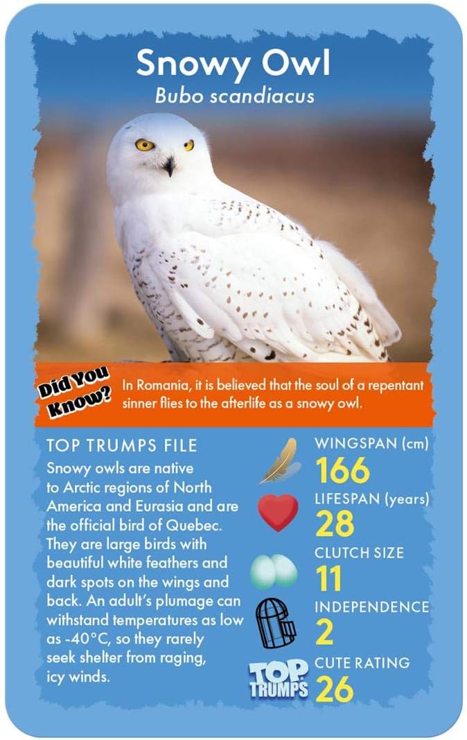 Birds Top Trumps Card Game