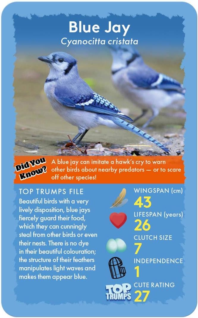 Birds Top Trumps Card Game