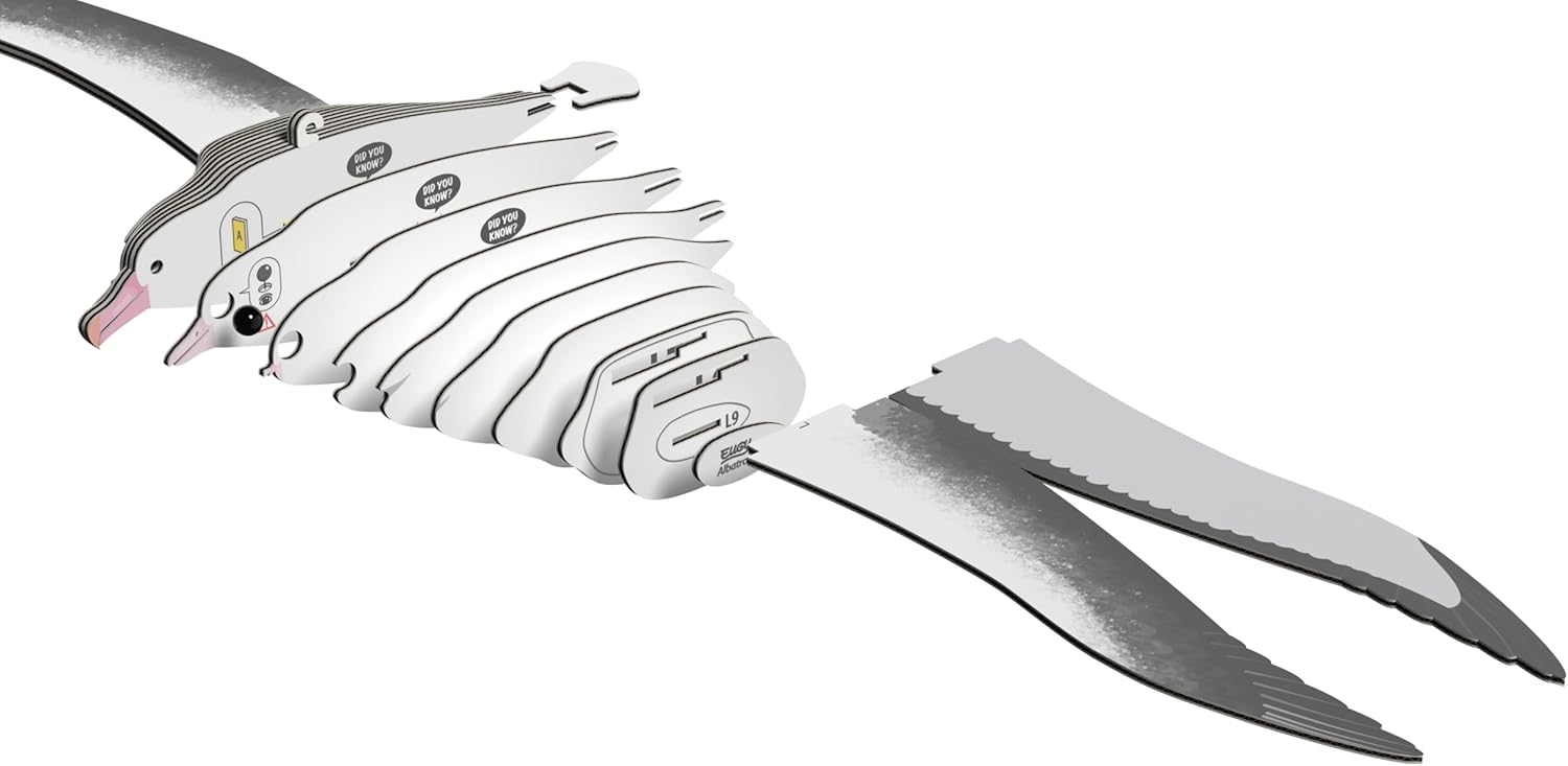EUGY Royal Albatross 3D Model Craft Kit