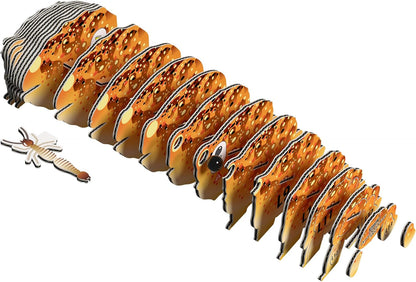 EUGY D5081 Desert Spadefoot Toad 3D Model Craft Kit