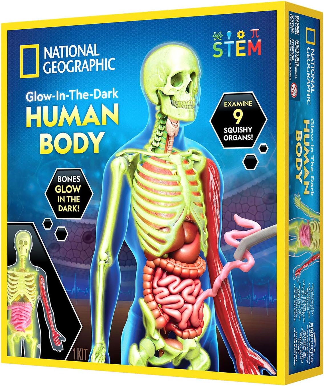 NG Human Body Science Kit