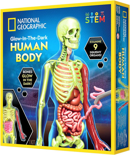 NG Human Body Science Kit