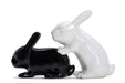 Winkee - Bunny S+P Shakers - Salt And Pepper Dispenser