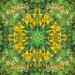 Orboretum: The Orb Collection