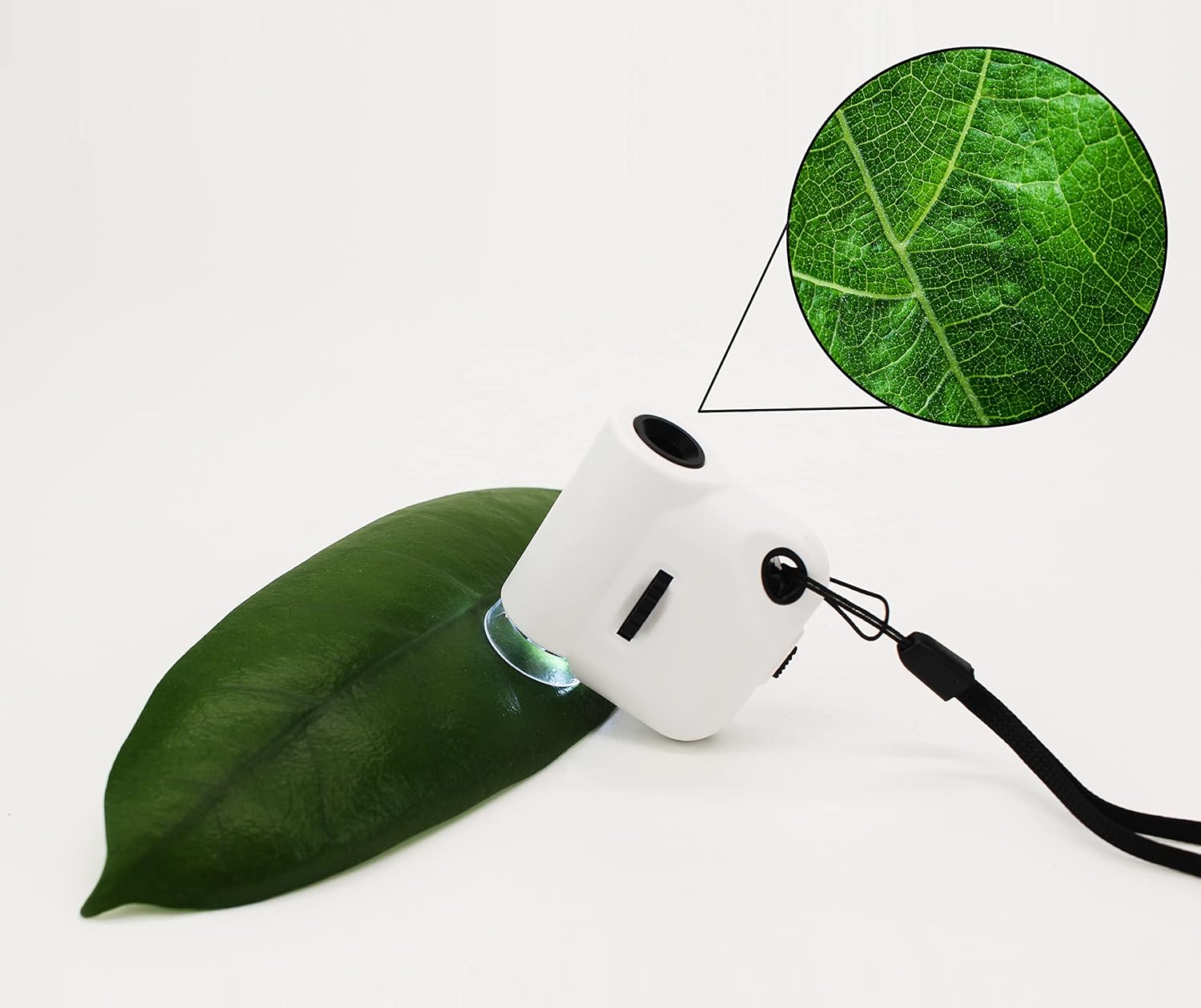 Mini Microscope with Light Microscope Microscope Microscope Light Small Microscope Outdoor Microscope