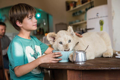 Mia et le lion blanc