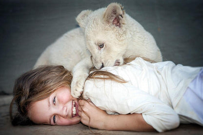 Mia et le lion blanc