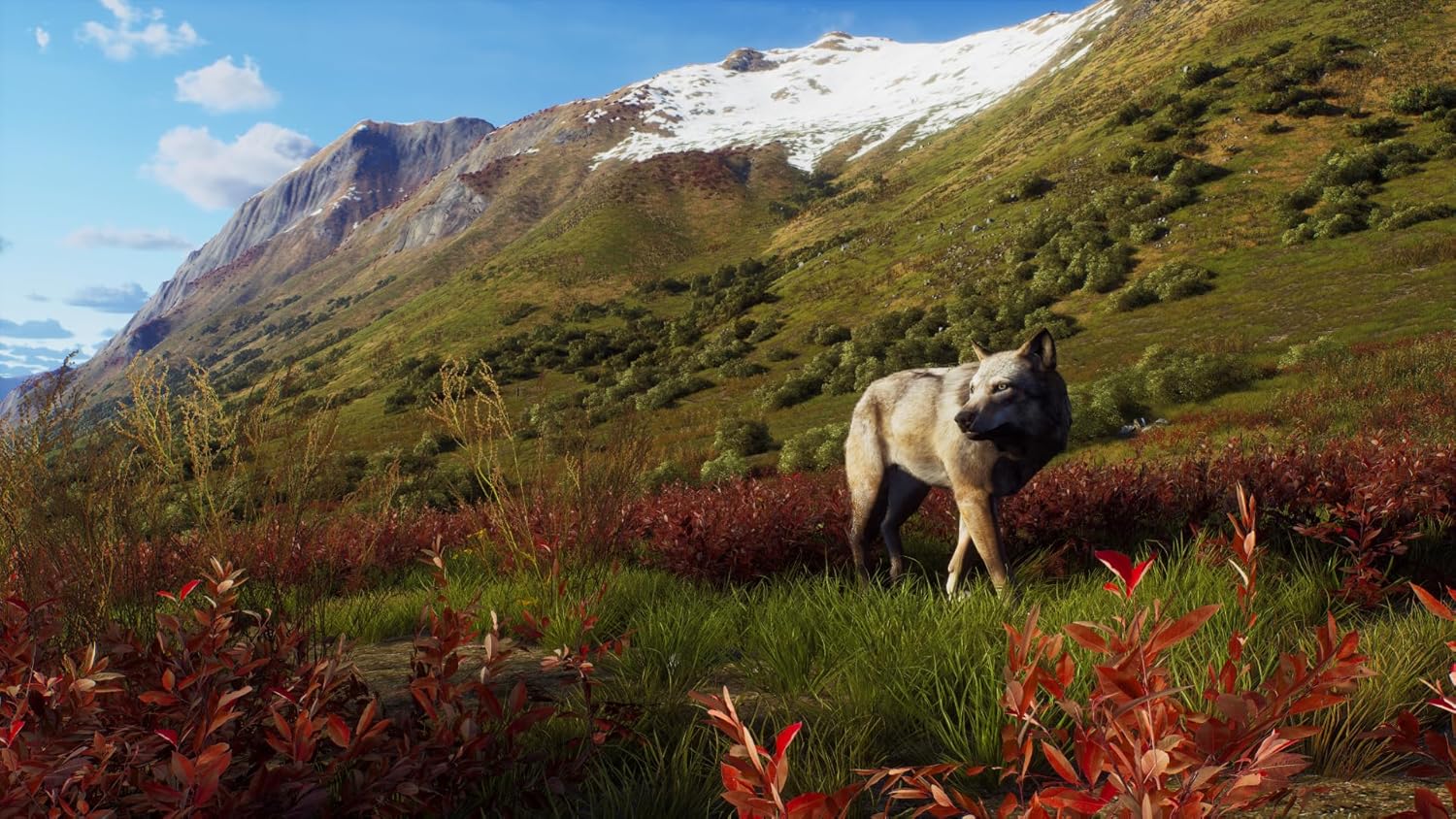 Way of the Hunter - Wild Expeditions - PlayStation 5
