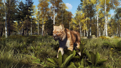Way of the Hunter - Wild Expeditions - PlayStation 5