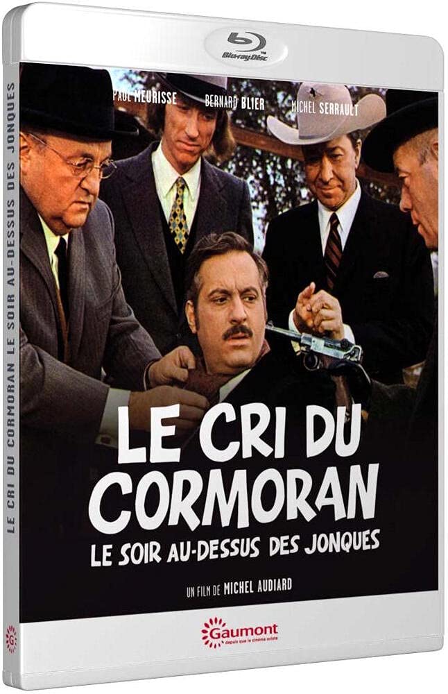 Le cri du comoran le soir au-dessus des jonques