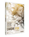 Casque d'or