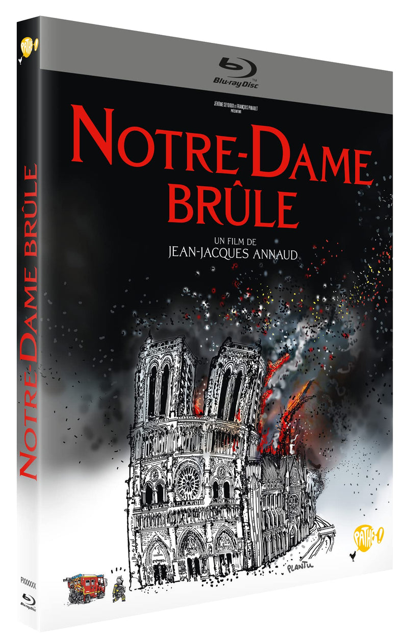 Notre-dame brûle