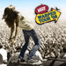Vans Warped Tour '08