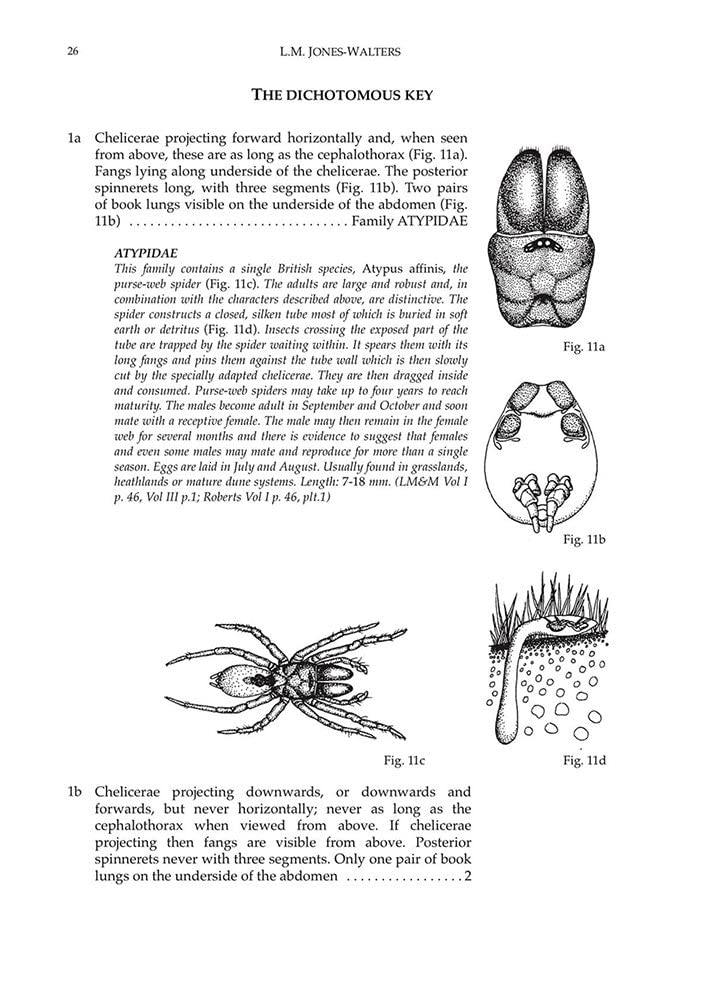 Keys to the Families of British Spiders