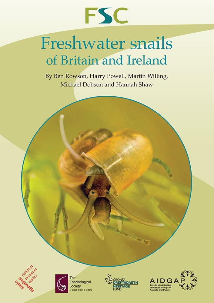 Freshwater Snails of Britain and Ireland