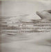 Seas And Sirens