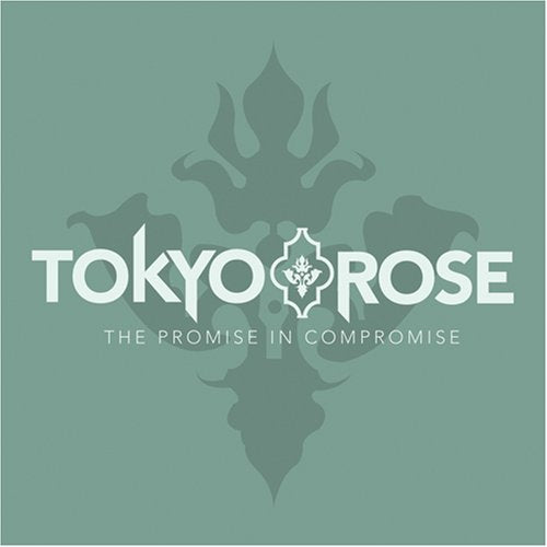 The Promise in Compromise