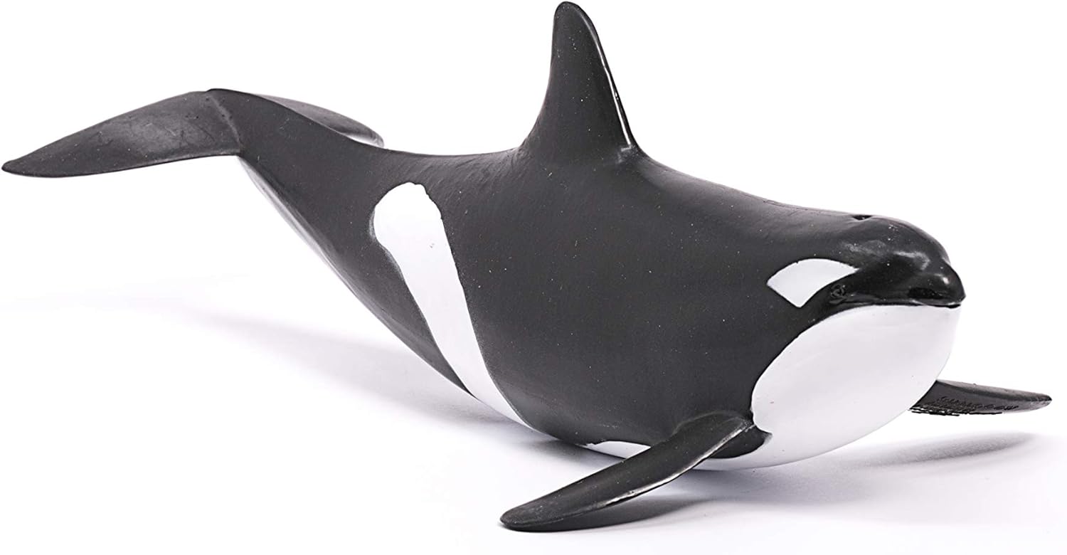 schleich 14807 Orka, ab 3 Jahren, WILD LIFE - Spielfigur, 10 x 20 x 7 cm
