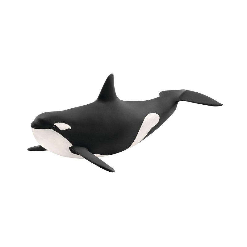 schleich 14807 Orka, ab 3 Jahren, WILD LIFE - Spielfigur, 10 x 20 x 7 cm