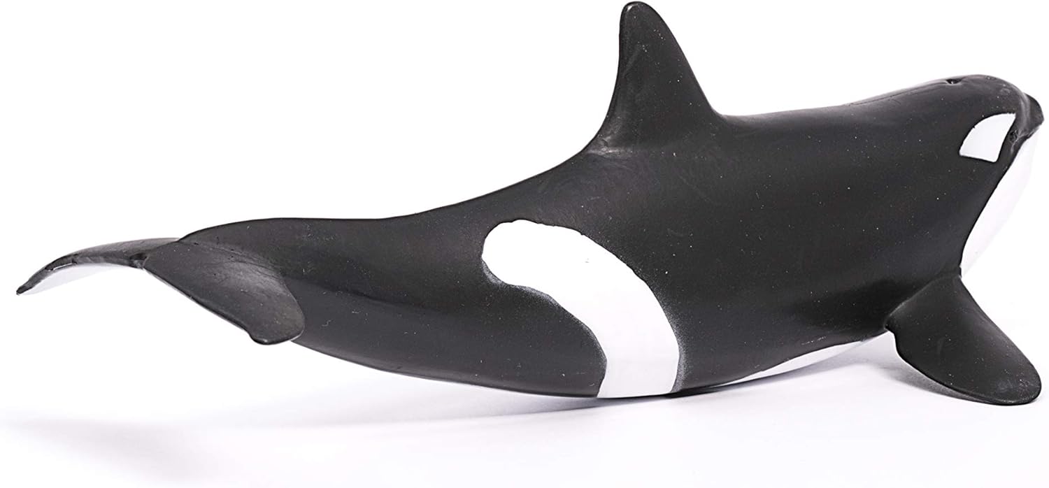 schleich 14807 Orka, ab 3 Jahren, WILD LIFE - Spielfigur, 10 x 20 x 7 cm