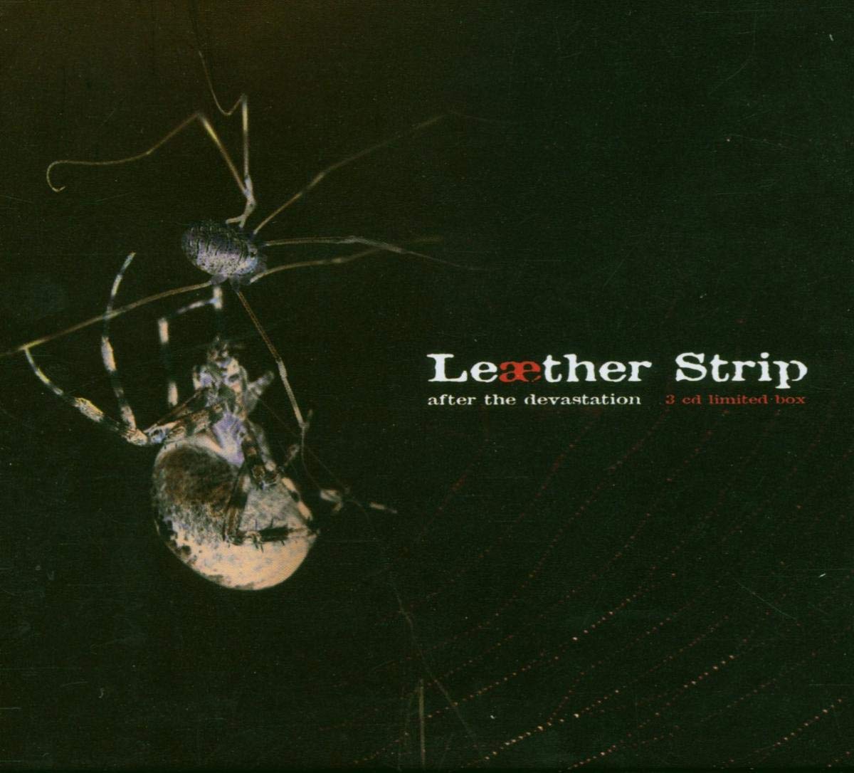 Leather Strip - After The Devastation