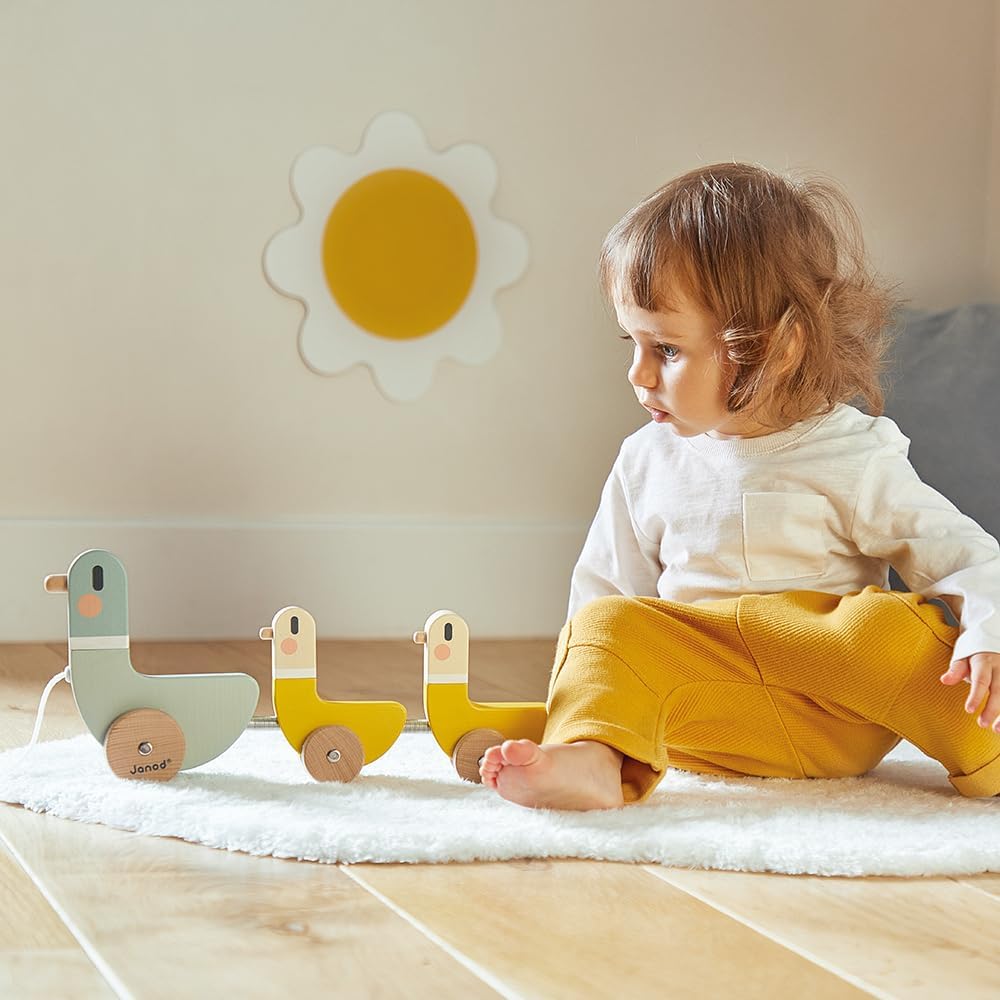 JANOD - Educatieve spellen, meerkleurig (J04051