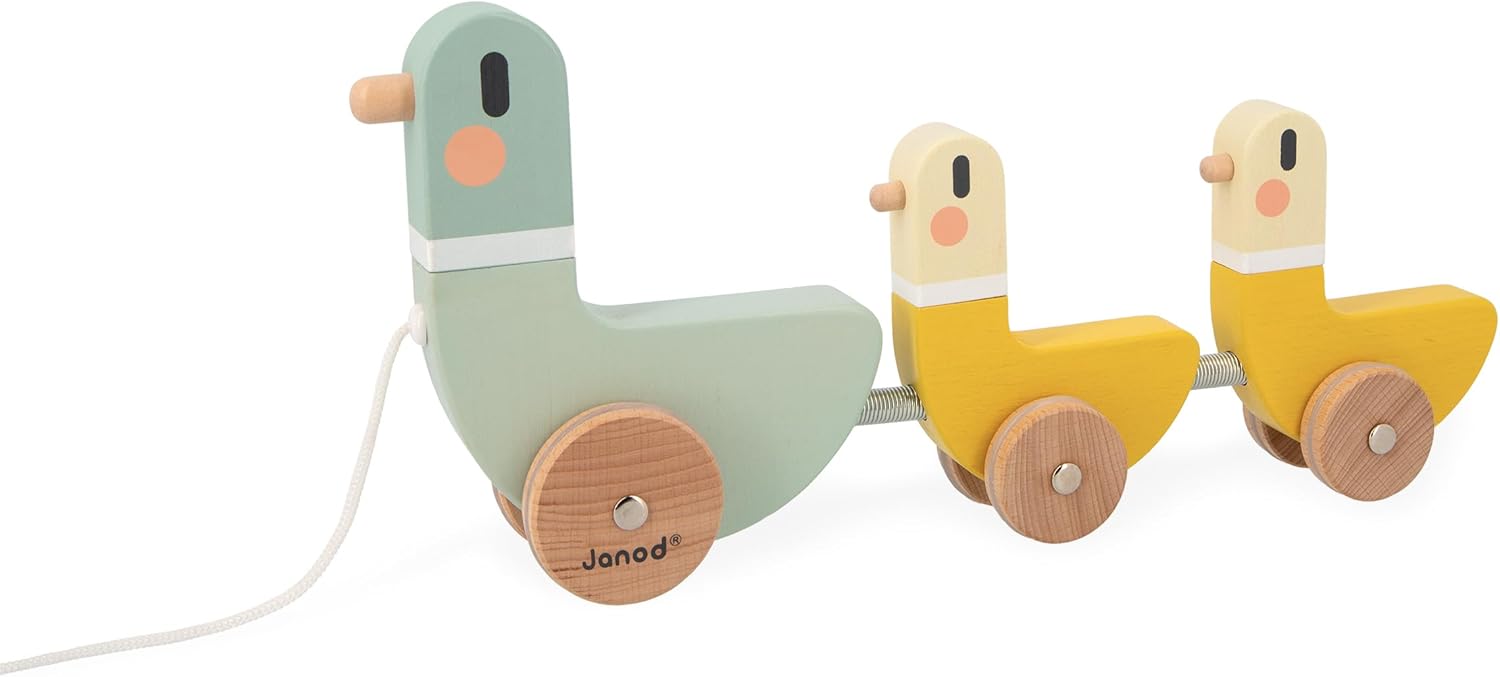 JANOD - Educatieve spellen, meerkleurig (J04051